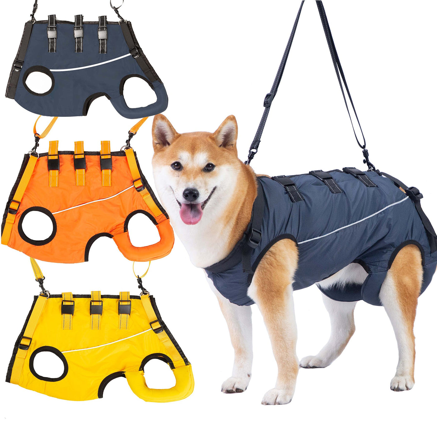 Senior dog wearing full-body mobility support harnesses in navy, orange and yellow