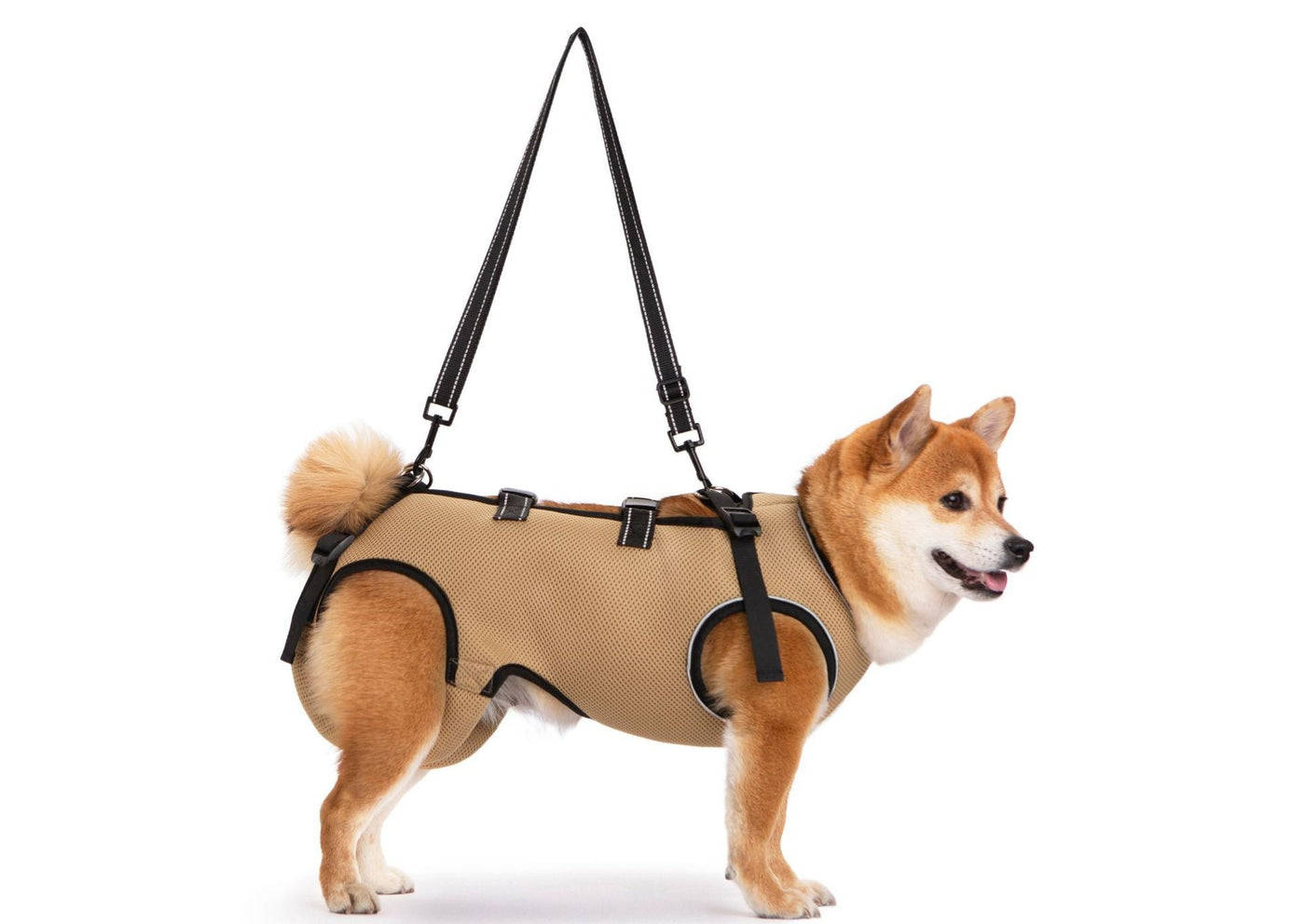 Senior dog wearing a khaki breathable mobility support harness