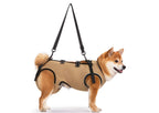 Senior Dog Full-Body Lift Harness | Dual-Handle Support | Kinstroll - image 11