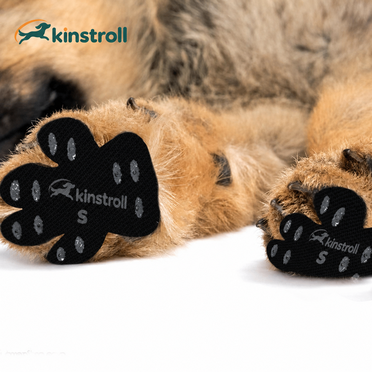 Close-up of black Kinstroll anti-slip paw grips on a dog
