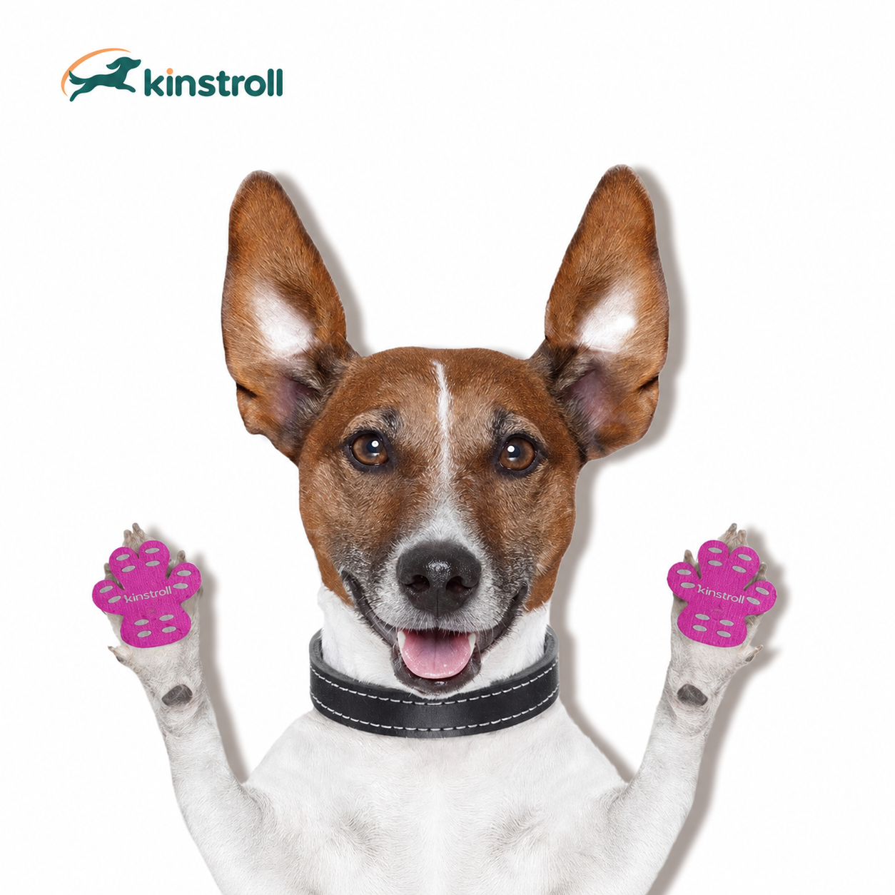 Pink Kinstroll anti-slip paw grips worn by a dog