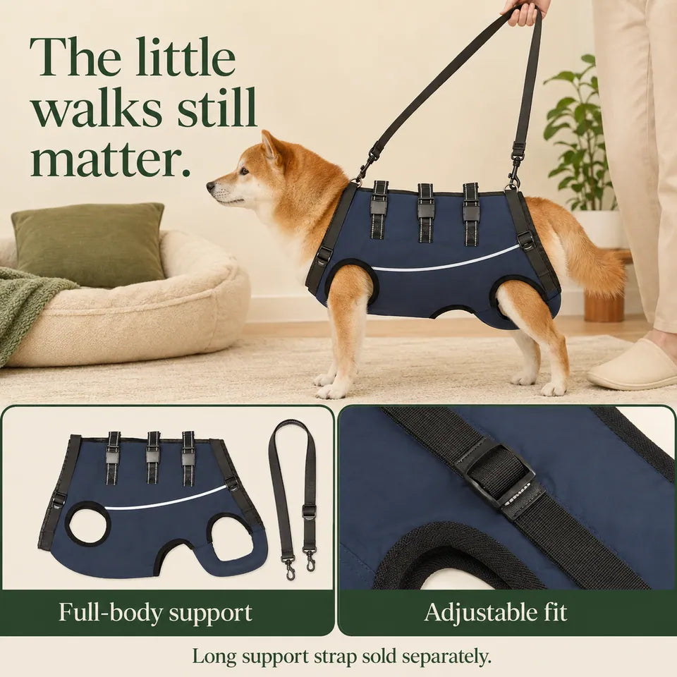 Full-body harness on a standing dog, flat view of the wearable harness with its included matching adjustable support strap, and adjustable buckle detail.